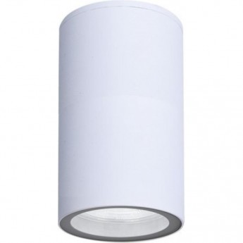 Фасадный светильник ARTE LAMP MISTERO A3302PF-1WH Фасадный светильник ARTE LAMP MISTERO A3302PF-1WH