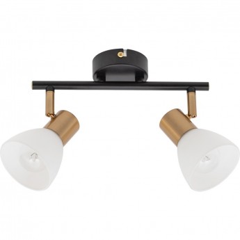 Спот ARTE LAMP FALENA A3117PL-2BK