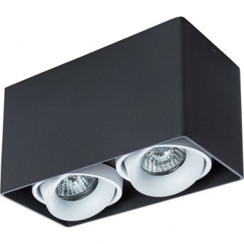 Светильник ARTE LAMP PICTOR A5654PL-2BK Светильник ARTE LAMP PICTOR A5654PL-2BK