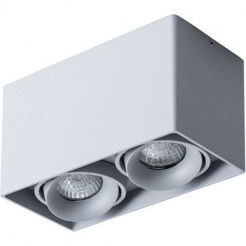 Светильник ARTE LAMP PICTOR A5654PL-2GY Светильник ARTE LAMP PICTOR A5654PL-2GY