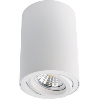 Светильник ARTE LAMP SENTRY A1560PL-1WH Светильник ARTE LAMP SENTRY A1560PL-1WH